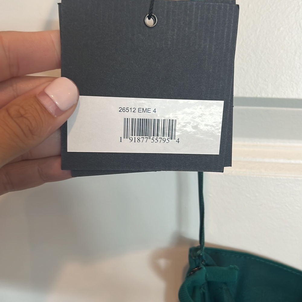 IEENA for Max Duggal dress - Picture 8 of 10